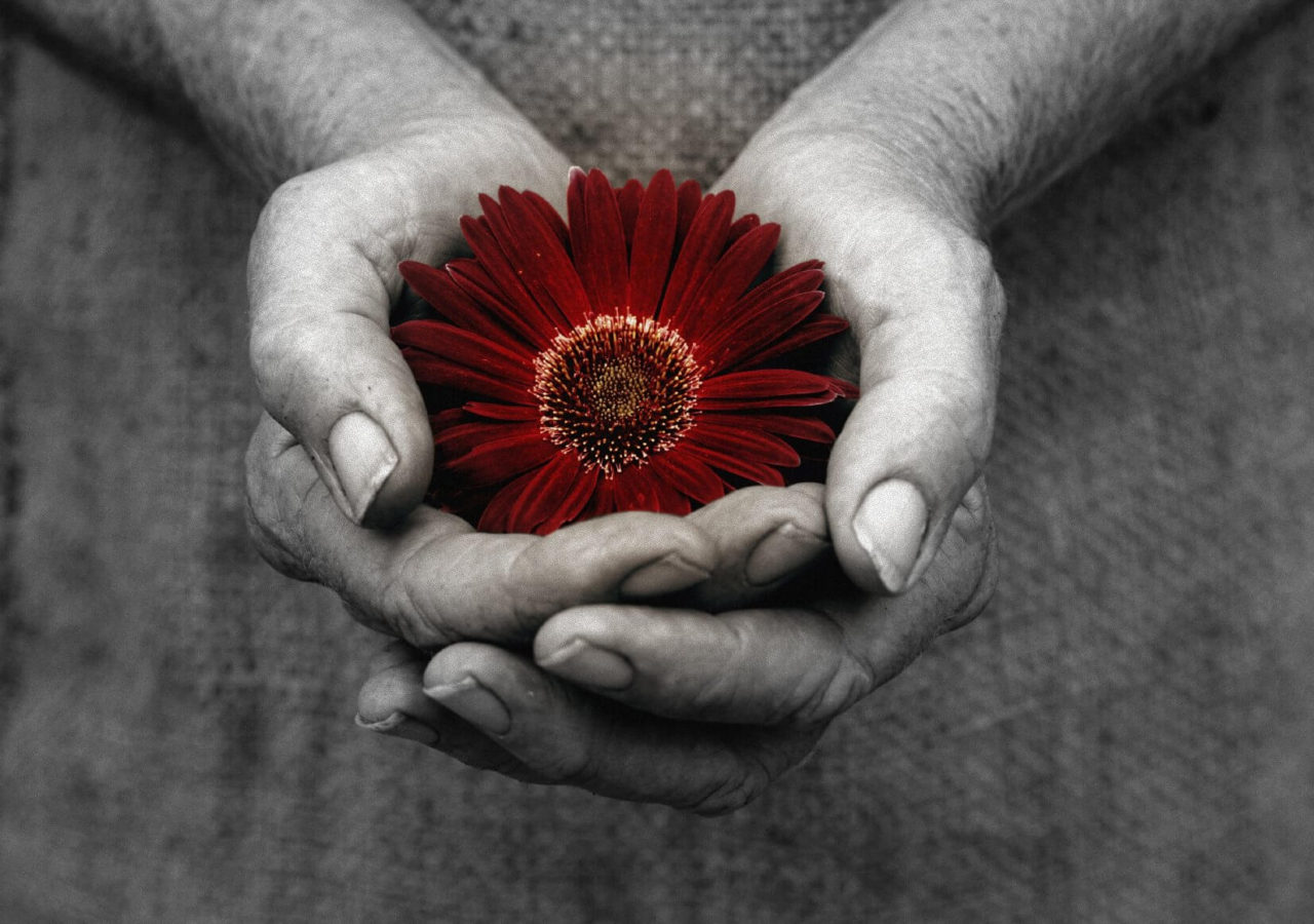 Read more about the article At the Intersection of Nudging and Religion