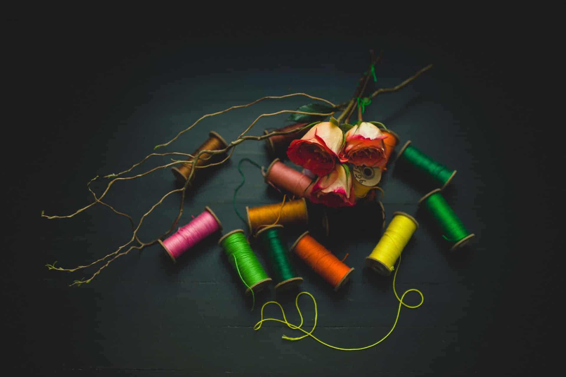 Read more about the article Are You Excellent at Your Craft? Apply Your Obsession to Activism