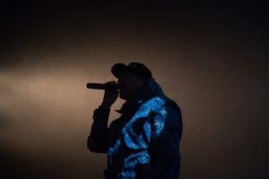 Read more about the article At the Intersection of Thanksgiving and a Vegan Rapper