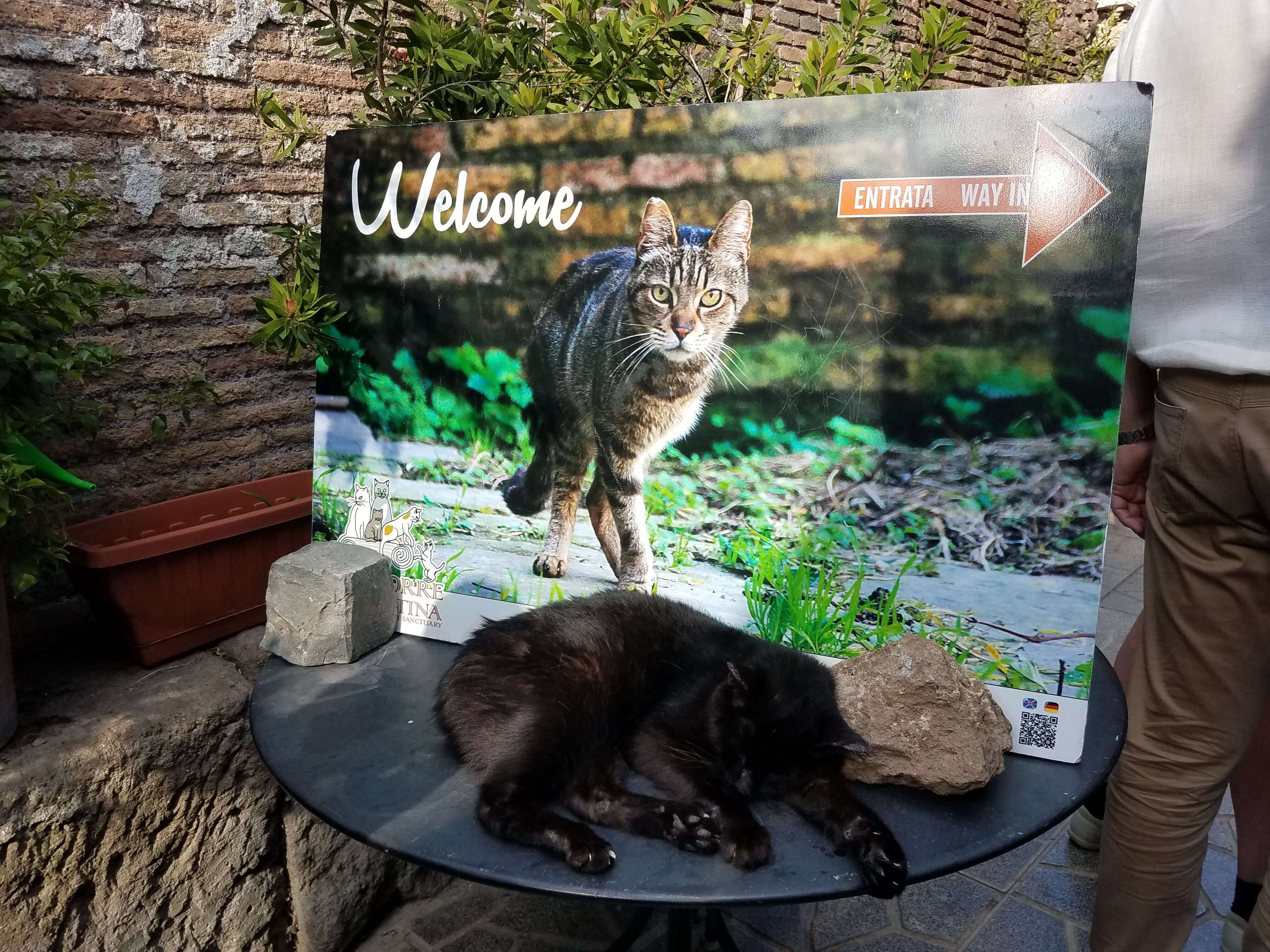 Entrance to Torre Argentina Cat Sanctuary. Rome, Italy. Travel.
