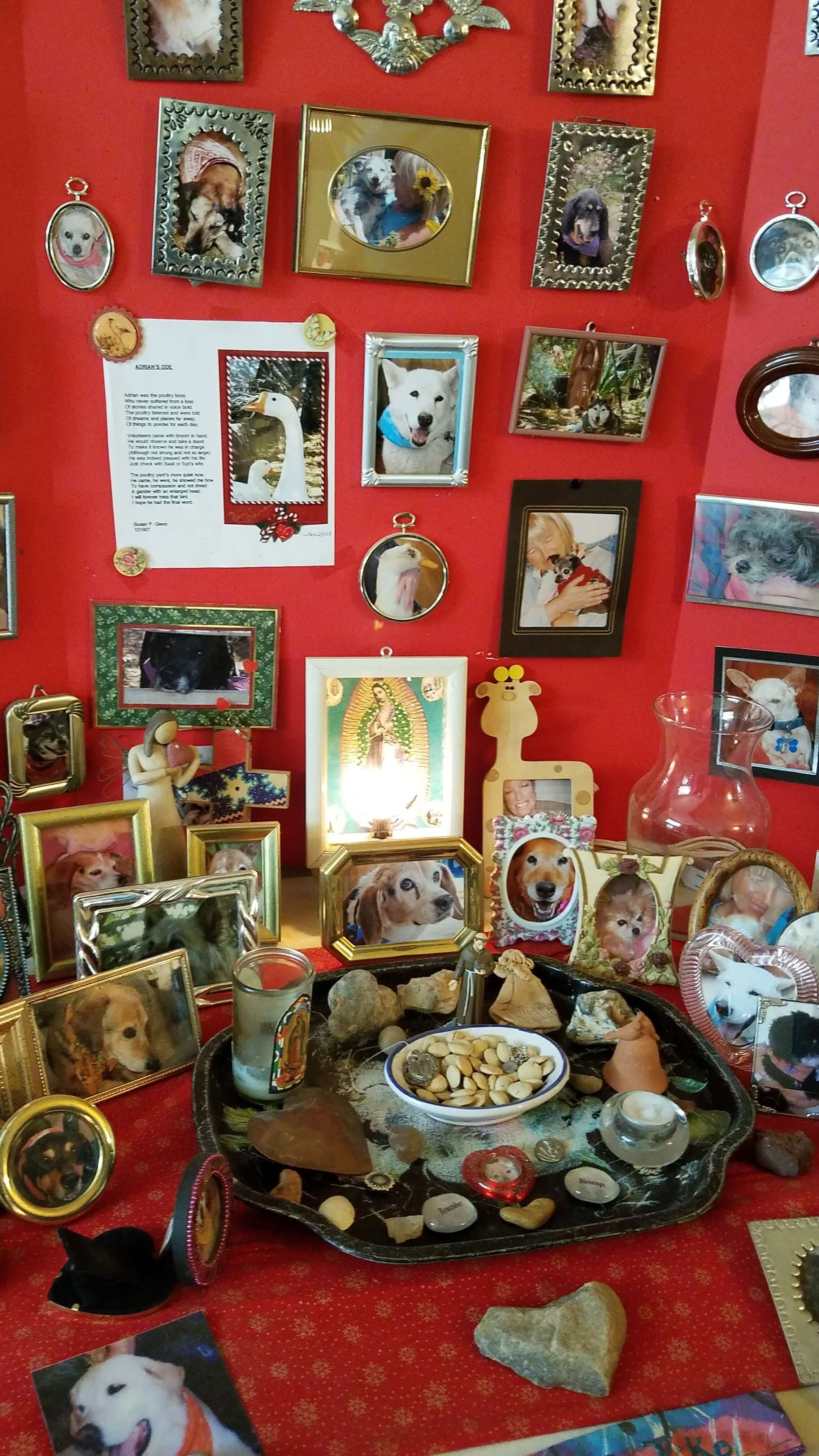 Memorial to the animals that lived at Kindred Spirits. Travel.