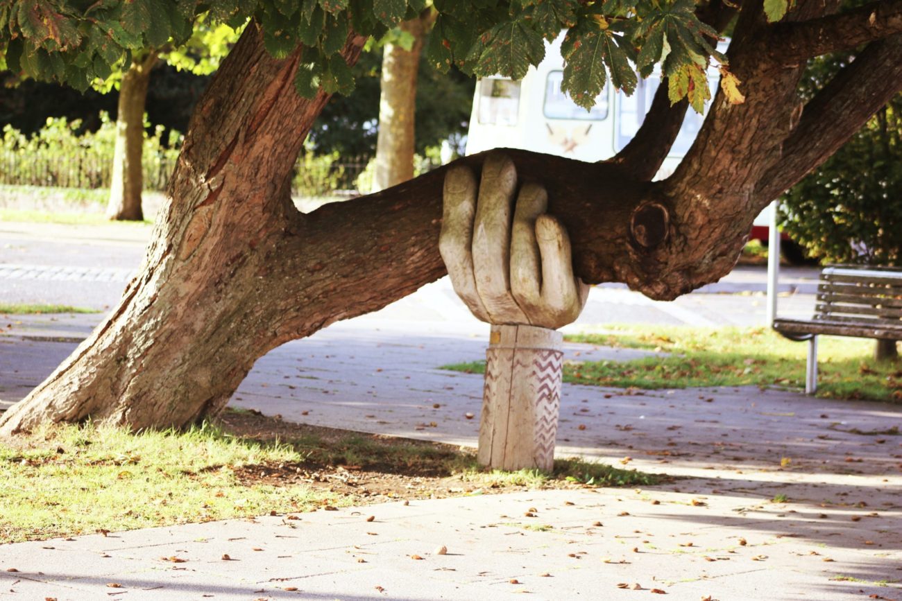Read more about the article Learn About the Importance of Movement Support