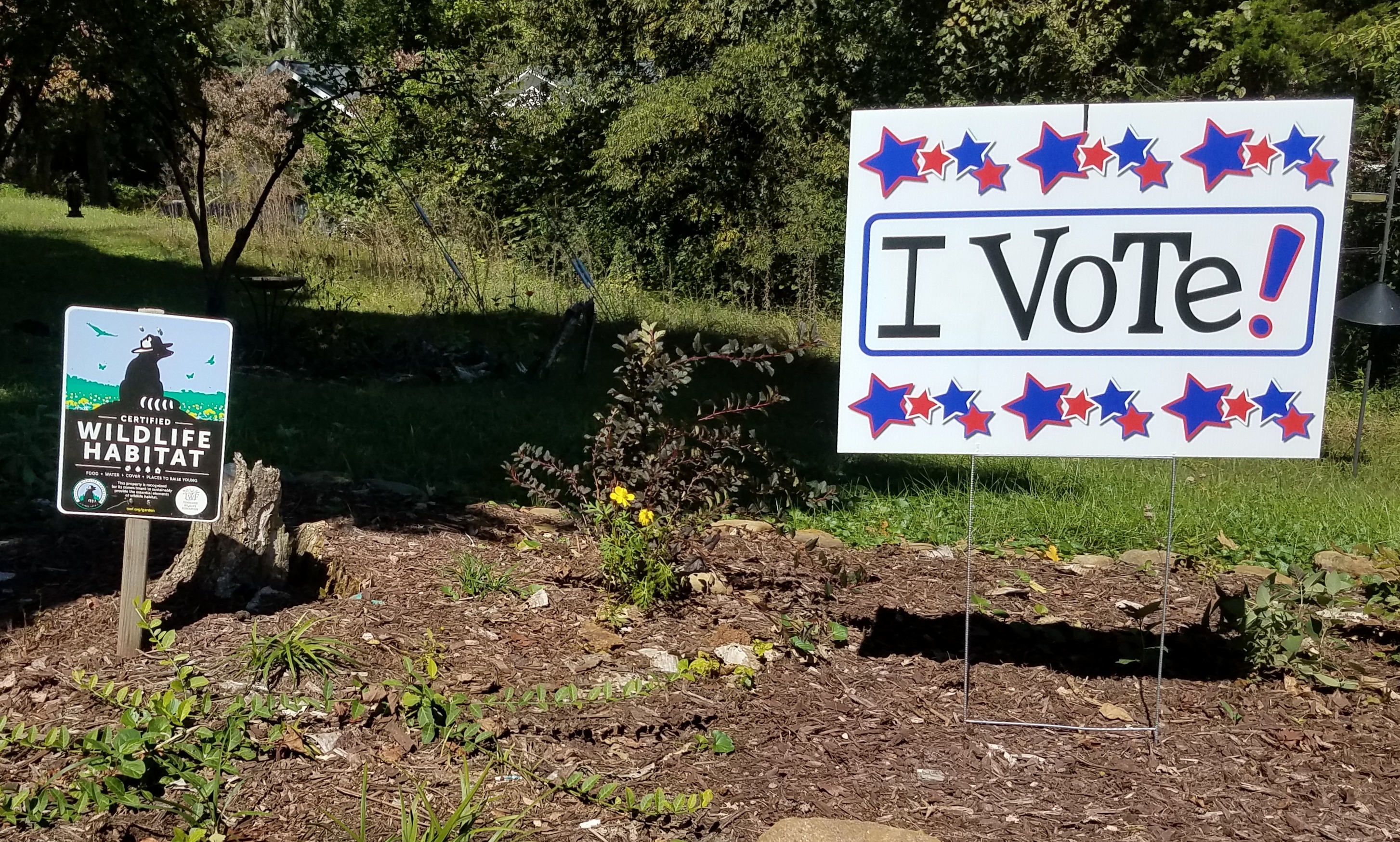 I Vote! Yard Sign