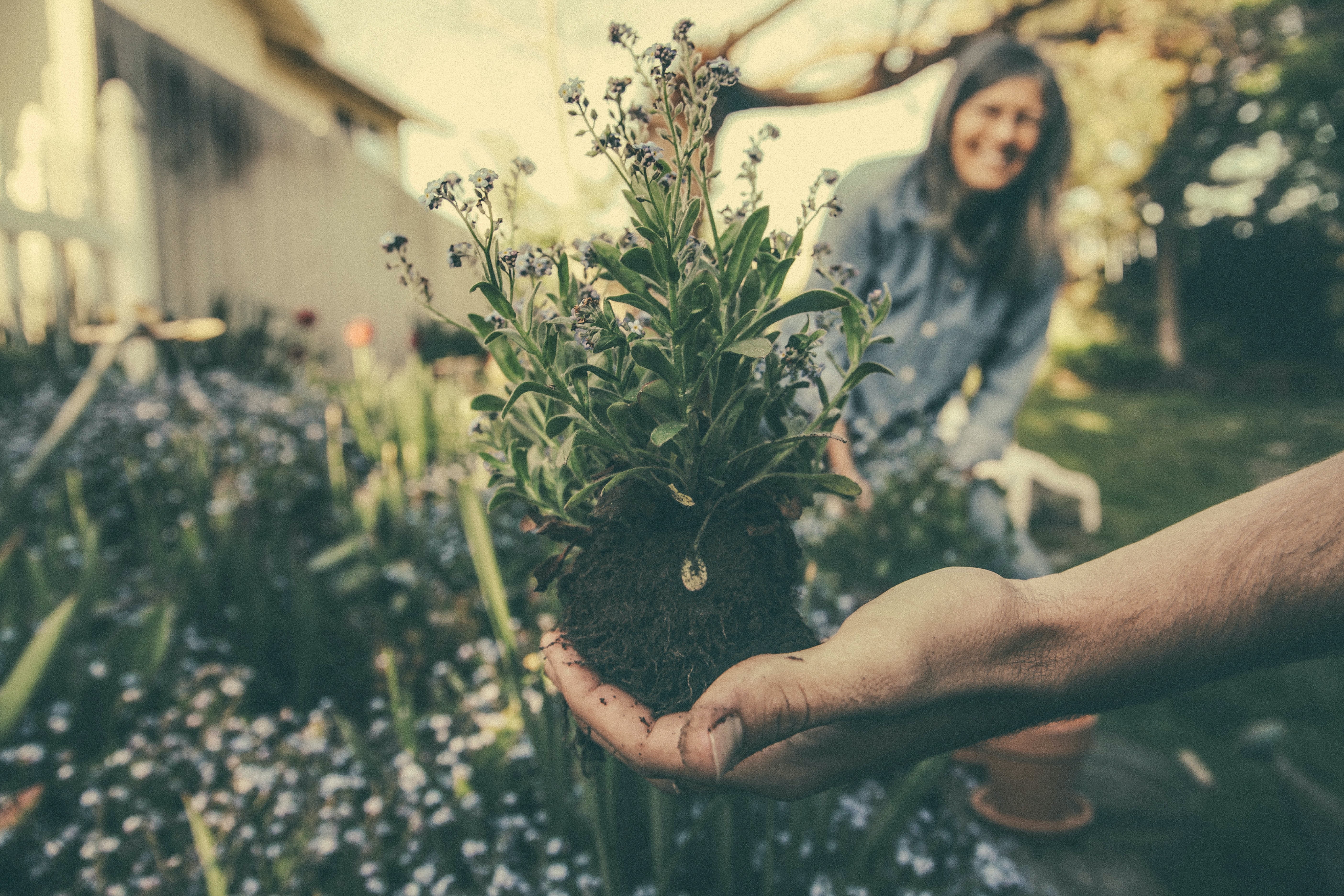 Happy gardeners. I don't have time to change the world.