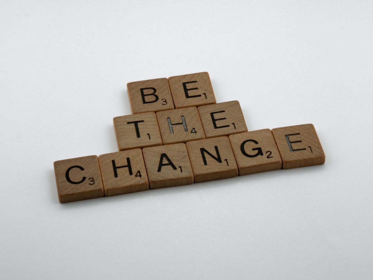 Read more about the article What Kind Of Social Change Agent Are You?