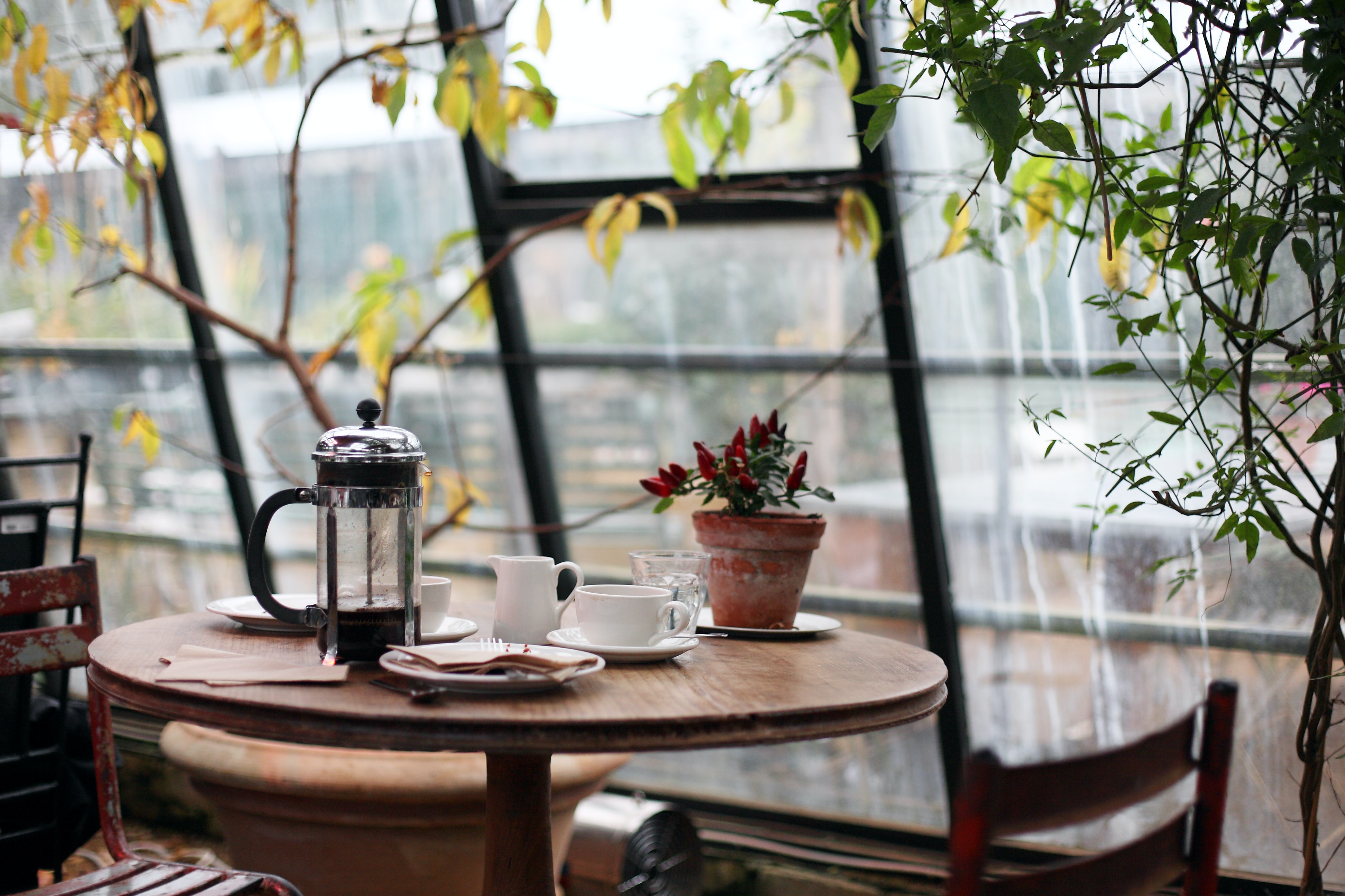 Read more about the article “I Don’t Have Time” How Busy People Can Change the World