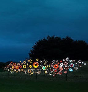 Bird eye art at night