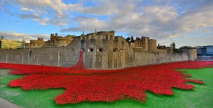 Read more about the article At the Intersection of Art and Remembrance: The Tower of London Poppies