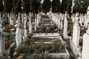 Read more about the article At the Intersection of Death and Activism
