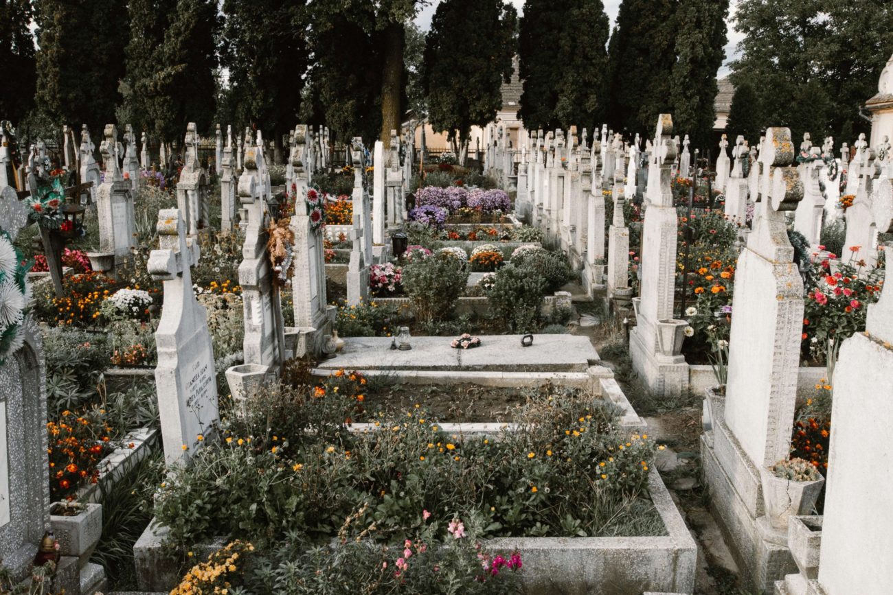 Read more about the article At the Intersection of Death and Activism