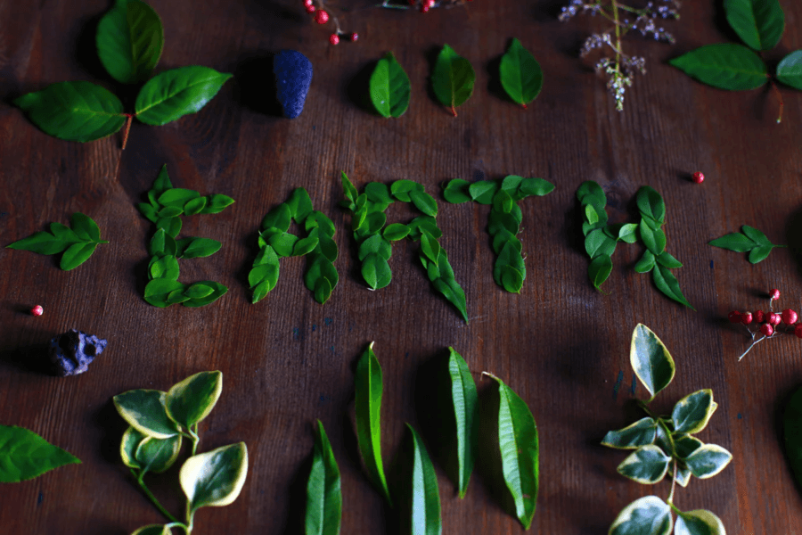 Read more about the article At the Intersection of Diet and Climate Change