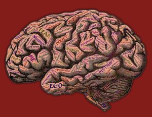 Read more about the article At the Intersection of Ego and Creativity