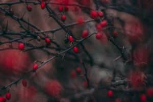 Read more about the article Stigma: A Thorn in the Side of Mental Health Care