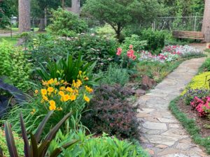 A stone pathway with flowers and shrubs, no lawn care