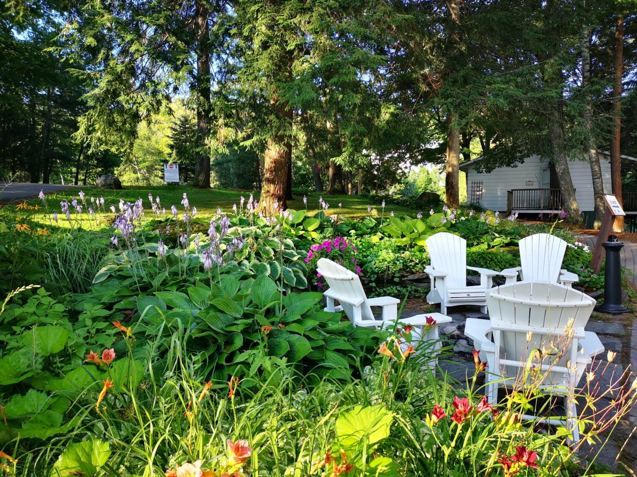 Read more about the article How to Perform Lawn Care That Improves the Environment