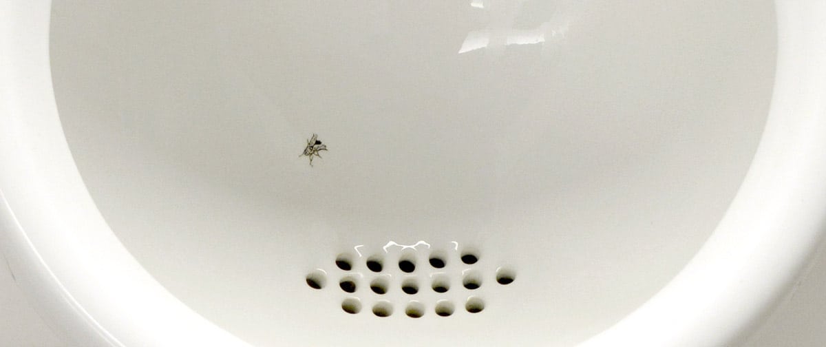 Picture of insect in urinal to help nudge men to aim better.