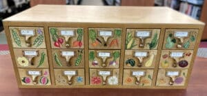 Read more about the article What Is a Seed Library and Why Do I Need Free Seeds of Life?