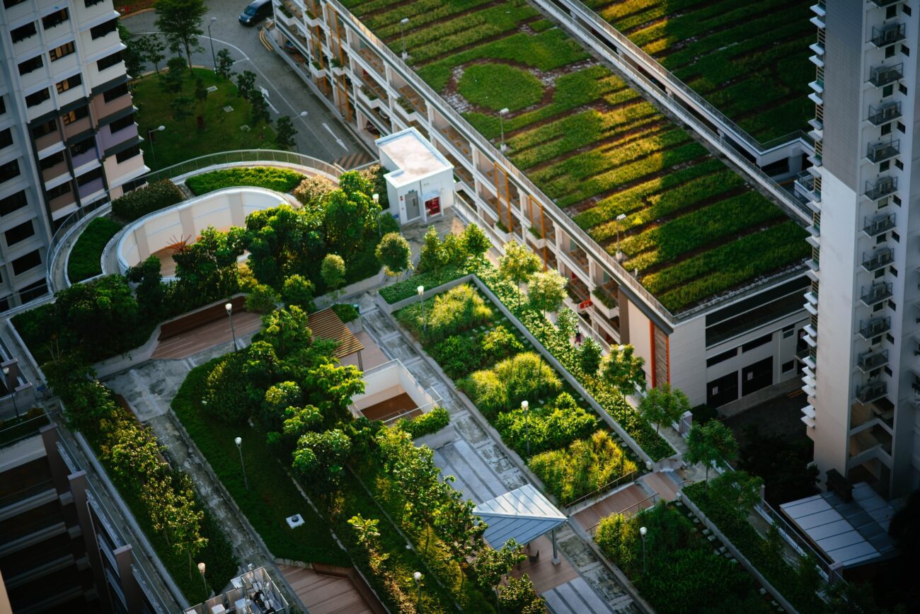 Read more about the article How To Encourage Community Gardening in the City