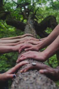 Hands on a tree trunk to show solidarity