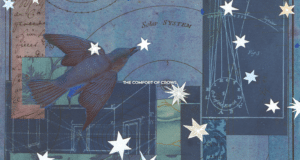 Read more about the article Margaret Renkl’s “The Comfort of Crows” Is a Call to Action for the Earth