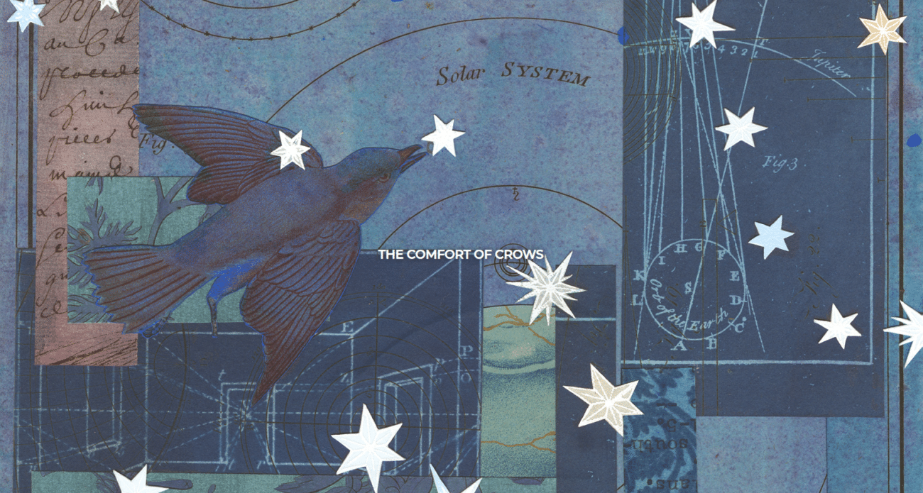 Read more about the article Margaret Renkl’s “The Comfort of Crows” Is a Call to Action for the Earth