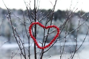 Read more about the article The Ultimate Guide To Thoughtful, Practical, and Unique Activism Gifts