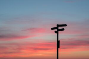 A signpost pointing several ways in front of a sunset with blue, pink, and orange colors. What activism cause is right for you?