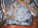 How Hopeful Environmentalists Can Support Environment Protection and Fight Injustice