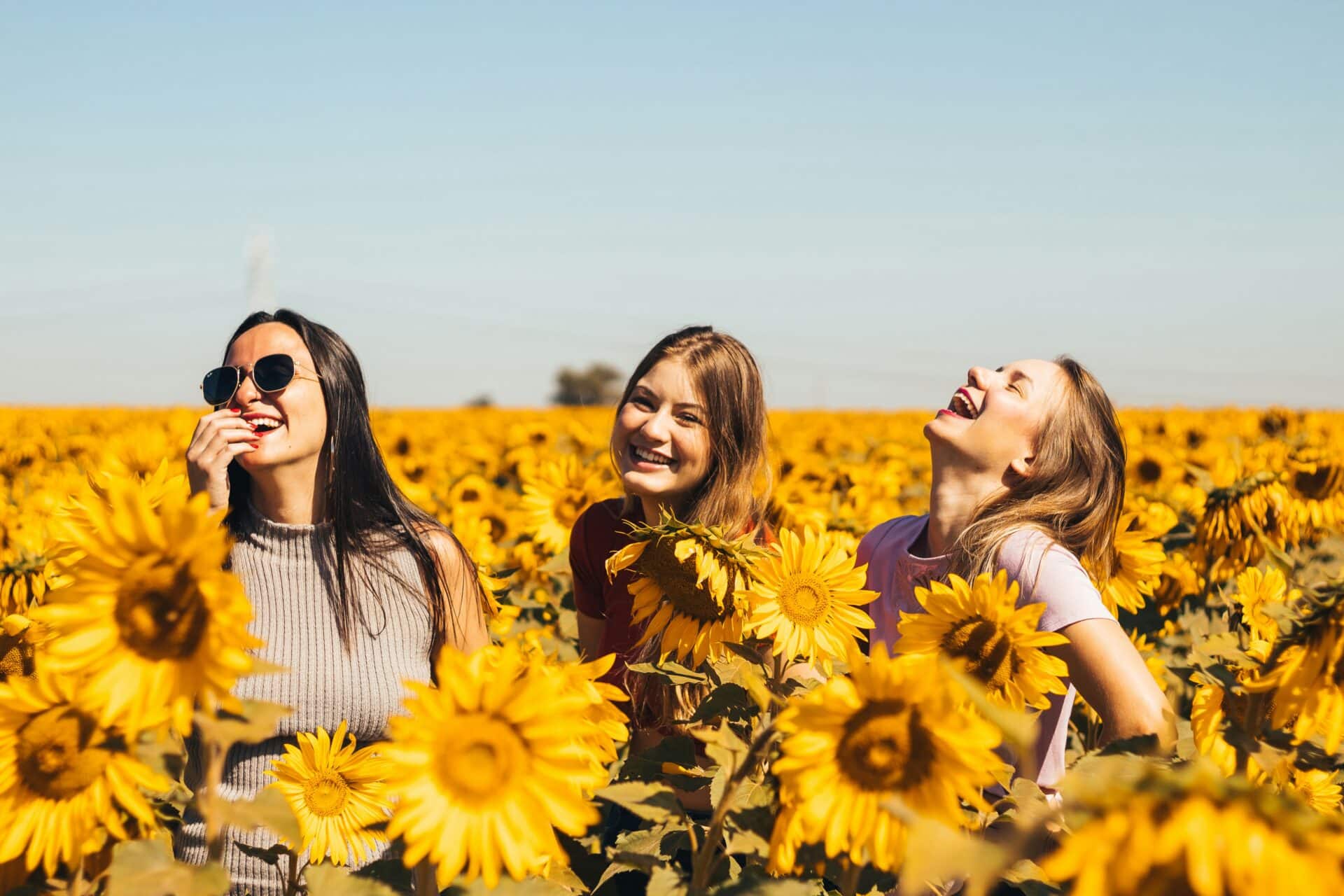 Read more about the article The Happy Activist: Journey the 5-Step Activism Path to Focus Your Passion and Change the World