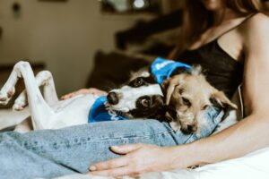 A black and white dog and a tan dog in the the lap of a person lying down. Mental health resources for healthy minds and mindfulness