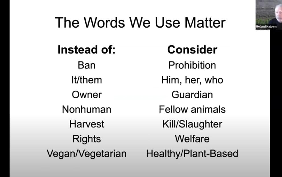 Slide showing common animals terms and better options. Animal welfare laws. Activists for animal rights.