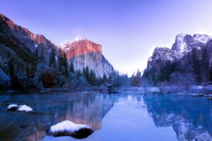 Read more about the article Me, Rumi, and ChatGPT Explore Brain Health