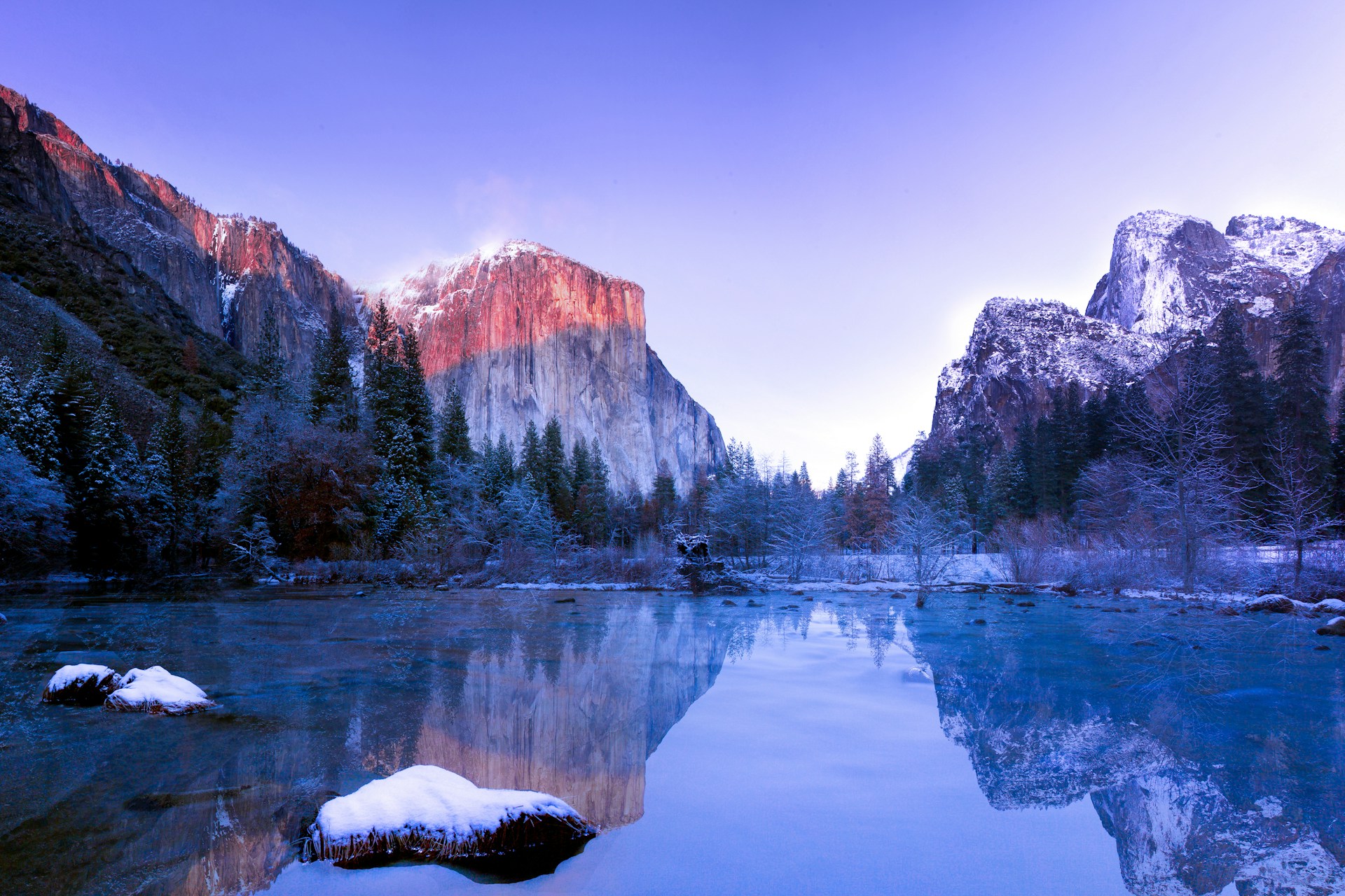 Read more about the article Me, Rumi, and ChatGPT Explore Brain Health