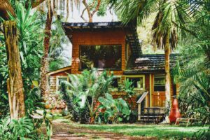 A 2-story wood house with large glass windows, surrounded by Hawaiian foliage, credit union benefits, better loan rates